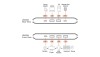 ATEN US4324-AT